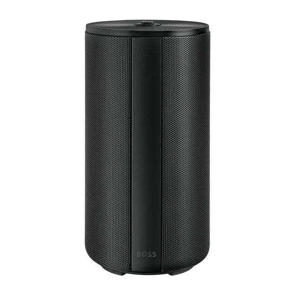 Enceinte connectée BOSS Elemental Large Silver