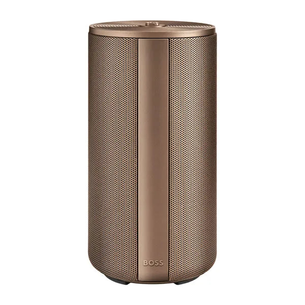 Enceinte connectée BOSS Elemental Large Silver