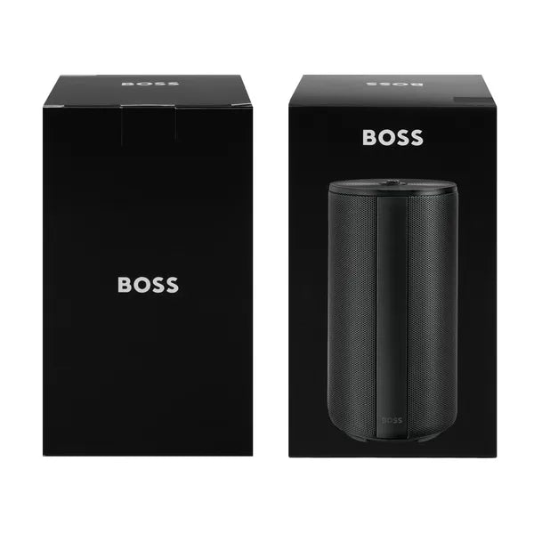 Enceinte connectée BOSS Elemental Large Silver