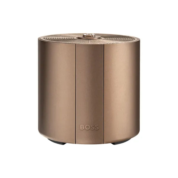 Enceinte connectée BOSS Elemental Silver
